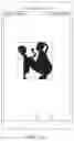 Fig. 33 - Gesture Processing Method and Device