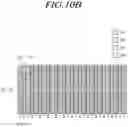 Fig. 17 - Touch display device