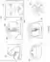 Fig. 07 - Method for real time update of fly-through camera placement