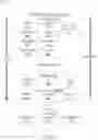 Fig. 19 - Hybridization of voice notes and calling