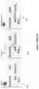 Fig. 02 - Dynamic memory allocation methods and systems