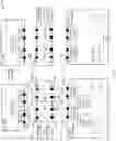 Fig. 07 - Redirecting i/o communications based on network topology