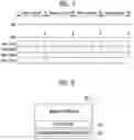 Fig. 07 - Storage device and operating method performing garbage collection of cyclical data