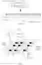 Fig. 05 - Compilation method, apparatus, computing device and medium