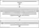 Fig. 01 - Detecting duplicated code patterns in visual programming language code instances