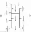 Fig. 06 - System and method for processing large datasets