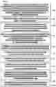 Fig. 07 - Predicting load-based control independent (CI) register data independent (DI) (CIRDI) instructions as CI memory data dependent (DD) (CIMDD) instructions for replay in speculative misprediction recovery in a processor