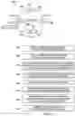 Fig. 06 - Real time peripheral configuration via hardware request