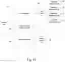 Fig. 22 - Network-on-chip data processing method and device