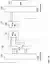 Fig. 03 - Adaptive interface high availability storage device