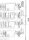 Fig. 33 - Maintaining row durability data in database systems