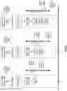 Fig. 65 - Maintaining row durability data in database systems