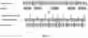Fig. 08 - Faster access for compressed time series data: the block index