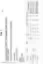 Fig. 04 - Management and optimization of search term clustering