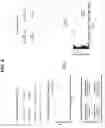 Fig. 06 - Management and optimization of search term clustering