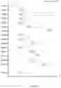 Fig. 03 - Browser based feedback for optimized web browsing