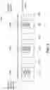 Fig. 04 - Secure enclave pathing configuration for data confidence fabrics