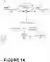 Fig. 02 - ONLINE SOFTWARE PLATFORM (OSP) EXTRACTING DATA OF CLIENT FOR IMPROVED ON-BOARDING OF THE CLIENT ONTO THE OSP