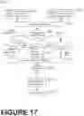 Fig. 15 - ONLINE SOFTWARE PLATFORM (OSP) EXTRACTING DATA OF CLIENT FOR IMPROVED ON-BOARDING OF THE CLIENT ONTO THE OSP