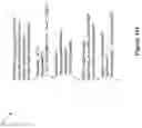 Fig. 17 - Method and system for securely storing private data in a semantic analysis system