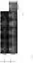 Fig. 21 - Normalization of facial images using deep neural networks