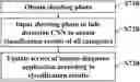 Fig. 01 - METHOD AND COMPUTER PROGRAM PRODUCT AND APPARATUS FOR DIAGNOSING TONGUES BASED ON DEEP LEARNING