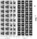 Fig. 08 - System and method for detecting fabricated videos