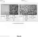 Fig. 14 - Methods and systems for crowd motion summarization via tracklet based human localization