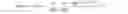 Fig. 24 - Maximum Entropy Boltzmann Machines