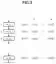 Fig. 04 - LEARNING SYSTEM, LEARNING METHOD AND PROGRAM