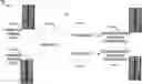 Fig. 01 - HUMAN CHARACTERISTIC NORMALIZATION WITH AN AUTOENCODER