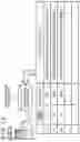 Fig. 11 - INFORMATION PROCESSING APPARATUS, INFORMATION PROCESSING SYSTEM, INFORMATION PROCESSING METHOD, AND PROGRAM