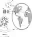 Fig. 01 - Global Regulatory-Device Testing and Compliance-Life Cycle Management System