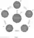 Fig. 03 - Global Regulatory-Device Testing and Compliance-Life Cycle Management System