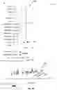 Fig. 14 - User active lead management system and uses thereof