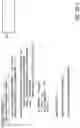 Fig. 16 - Virtualizing for user-defined algorithm electronic trading