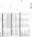 Fig. 11 - Systems and Methods for Managing Social Networks Based Upon Predetermined Objectives