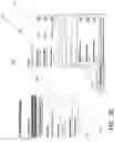 Fig. 13 - Systems and Methods for Managing Social Networks Based Upon Predetermined Objectives