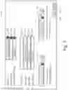 Fig. 07 - Graphical representation of a complex task