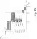 Fig. 13 - Graphical representation of a complex task