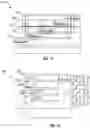 Fig. 10 - Method and apparatus for inspecting pattern collapse defects