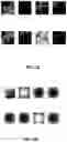 Fig. 17 - Method and apparatus for inspecting pattern collapse defects