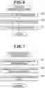 Fig. 05 - Method, device, and program for obtaining information from tissue sections for pathological diagnosis support