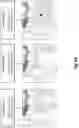 Fig. 09 - Generating change comparisons during editing of digital images