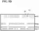 Fig. 11 - CROSS SECTION IMAGING WITH IMPROVED 3D VOLUME IMAGE RECONSTRUCTION ACCURACY
