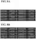 Fig. 14 - CROSS SECTION IMAGING WITH IMPROVED 3D VOLUME IMAGE RECONSTRUCTION ACCURACY