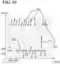 Fig. 16 - CROSS SECTION IMAGING WITH IMPROVED 3D VOLUME IMAGE RECONSTRUCTION ACCURACY