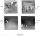 Fig. 09 - Methods and devices for encoding and decoding three degrees of freedom and volumetric compatible video stream