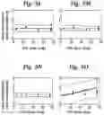 Fig. 14 - Real-time photoacoustic imaging using a precise forward model and fast iterative inverse