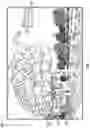 Fig. 10 - OVERLAY CONTRAST CONTROL IN AUGMENTED REALITY DISPLAYS